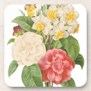 Vintage Floral Camelia Daffodil Flowers by Redoute Coaster