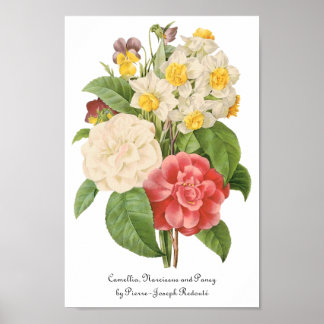 Vintage Floral Camelia Daffodil Flowers by Redoute Poster