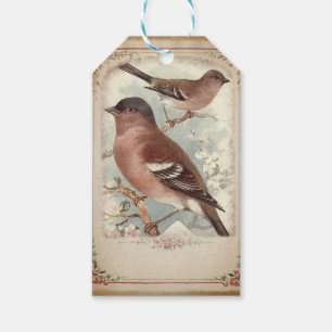 Vintage Floral Framed Bird Scrapbook Gift Tags