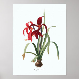 Vintage Floral Illustration Botanical Art Print
