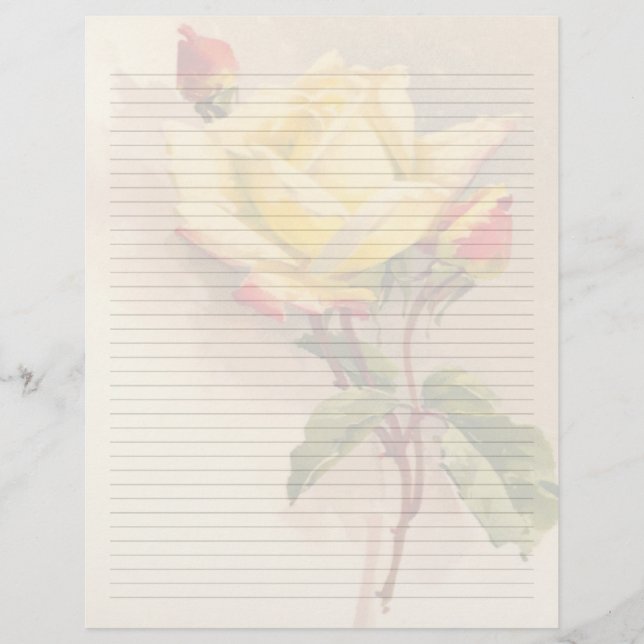 Vintage Floral Lined Letterhead Stationery (Front)