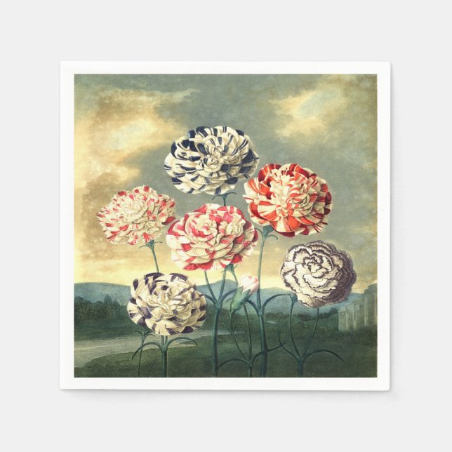 Vintage Floral Paper Napkins (Front)