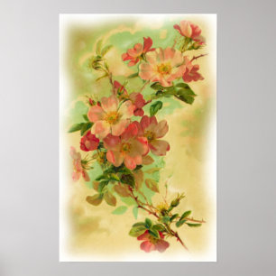 Vintage Floral Poster