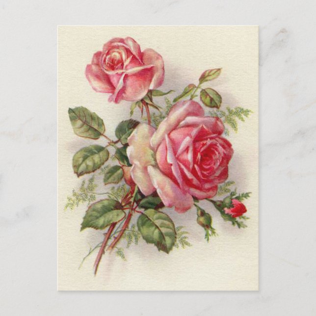 Vintage floral rose elegant postcard (Front)