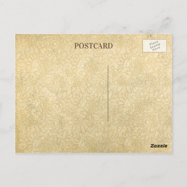 Vintage Floral Stained Paper Blank Postcard (Back)