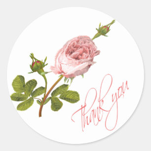 Vintage Floral Thank You Pink Rose Flower Wedding Classic Round Sticker