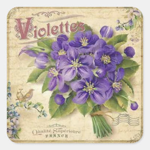 Vintage floral violets elegant sticker