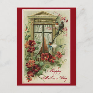Vintage Floral Window Postcard