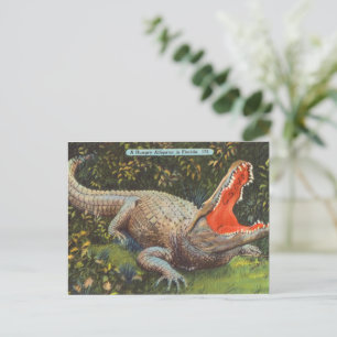 Vintage Florida Alligator Holiday Postcard