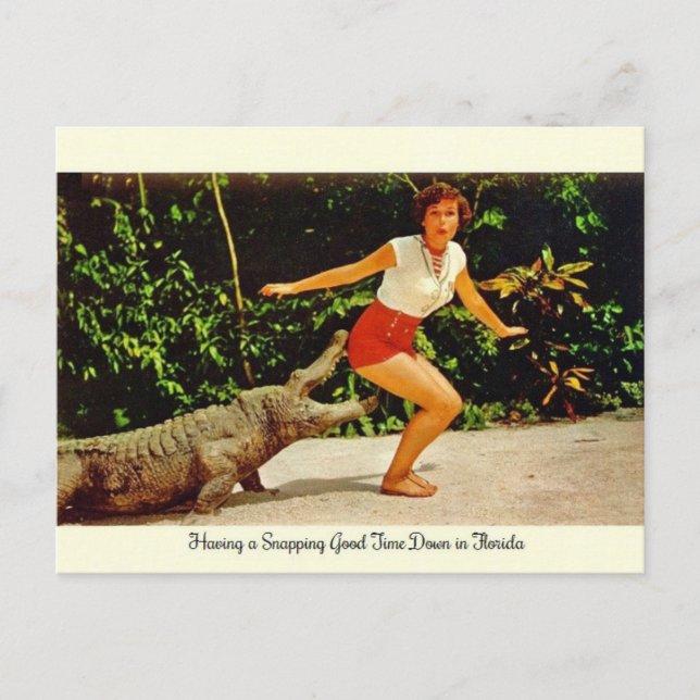 Vintage Florida Alligator Postcard (Front)