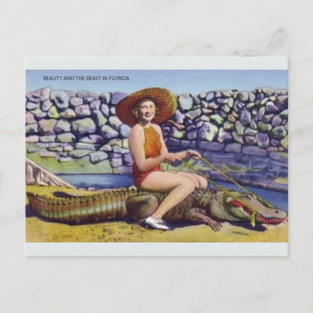 Vintage Florida Alligator Postcard (Front)