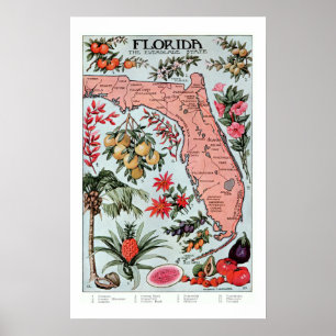 Vintage Florida Everglade State Fruit and Flowers Poster