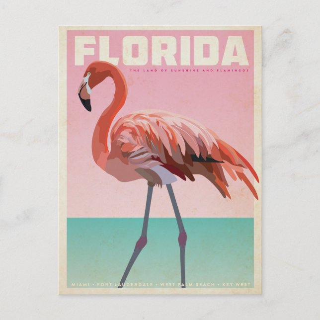 Vintage Florida Flamingo Postcard (Front)