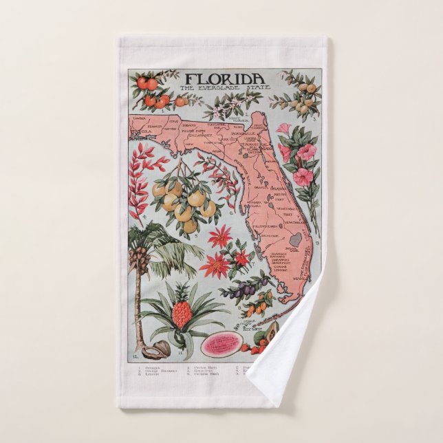Vintage Florida Map  Hand Towel (Hand Towel)