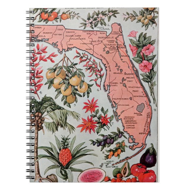 Vintage Florida Map Notebook (Front)