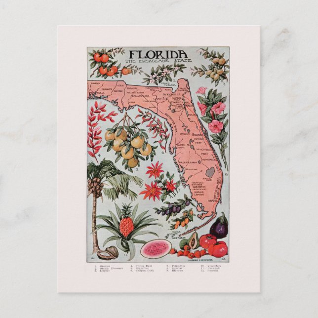 Vintage Florida Map  Postcard (Front)