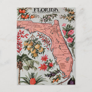 Vintage Florida Map Postcard