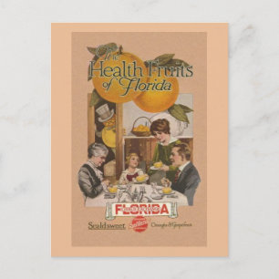 Vintage Florida Orange and Grapefruit Ad Post Card