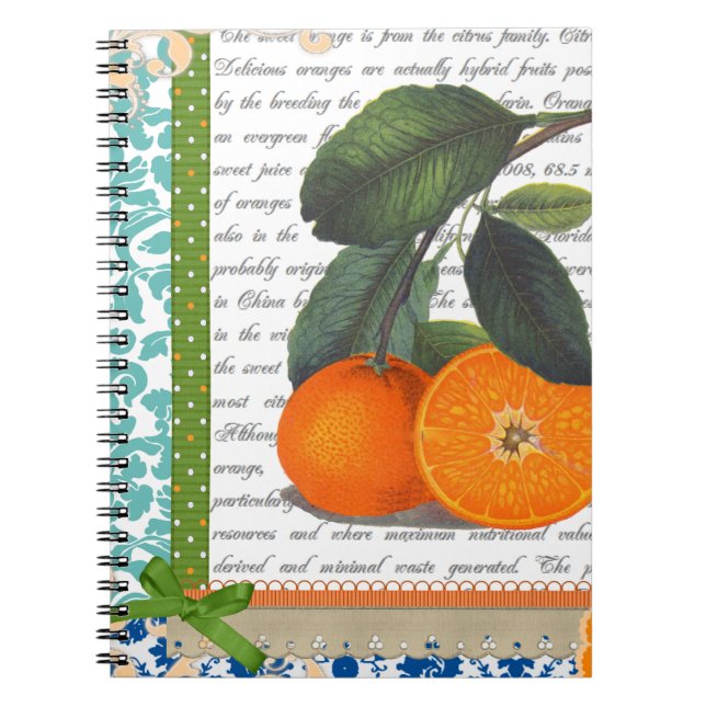 Vintage Florida Orange Fruit recipe notebook (Front)