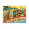 Vintage Florida Postcard