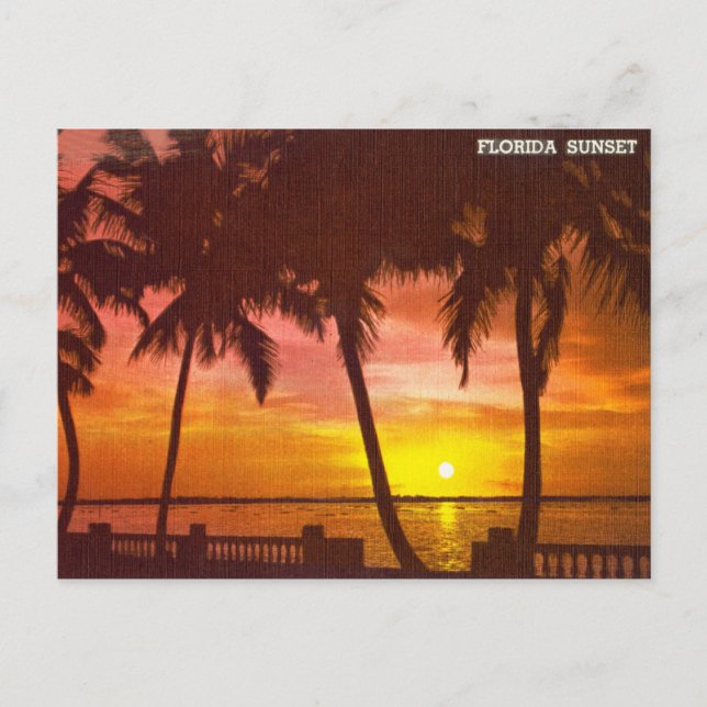 Vintage Florida Sunset Travel Postcard (Front)