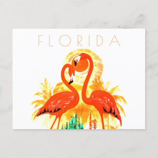 Vintage Florida travel postcard flamingos mid cent