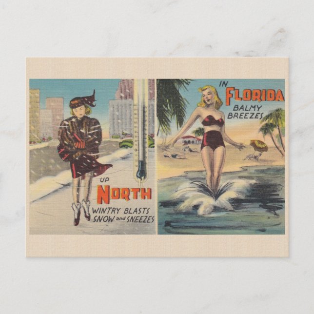 Vintage Florida Winter Postcard (Front)