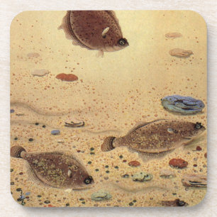Vintage Flounders, Marine Ocean Life Flat Fish Coaster