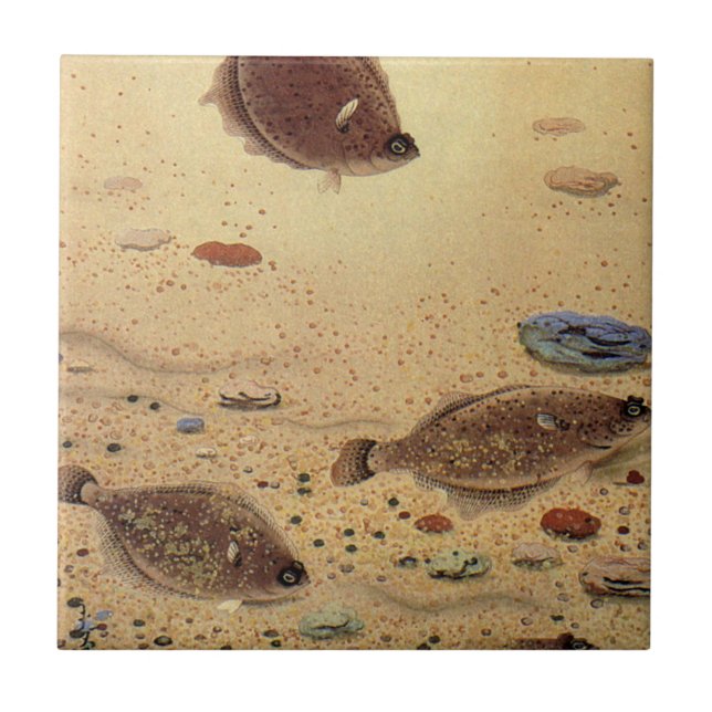 Vintage Flounders, Marine Ocean Life Flat Fish Tile (Front)