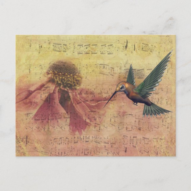 Vintage Flower and Hummingbird Musical Notes  Postcard (Front)