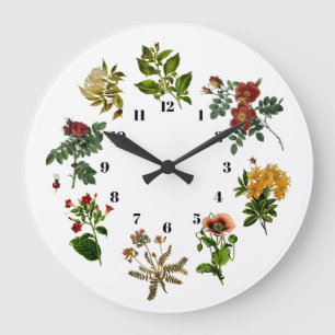 Vintage Flower Botany Large Clock