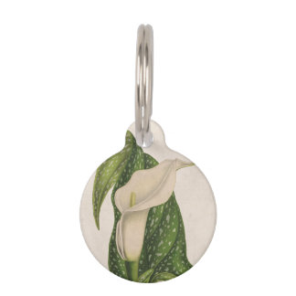 Vintage Flower Calla Lily Green Leaves Closeup Pet Tag
