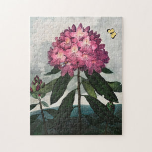 Vintage Flower Illustration Jigsaw Puzzle