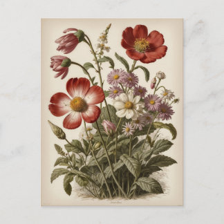 Vintage Flower Illustration Postcard