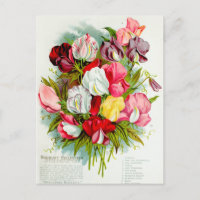 Vintage Flower Illustration