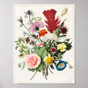 Vintage Flower Illustration Poster