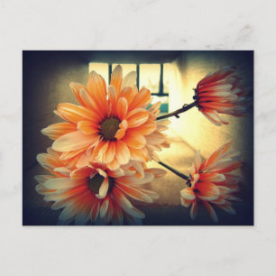 Vintage Flower Postcard
