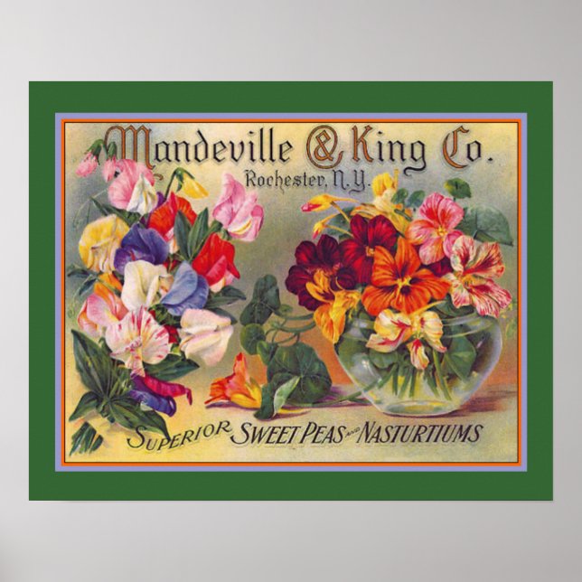 Vintage Flower Seed Advertisement Poster (Front)