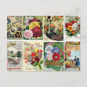 Vintage Flower Seed Catalogues Collage Postcard