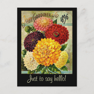 Vintage Flower Seed Packet -Postcard Postcard