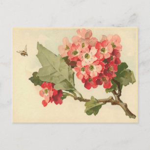 Vintage Flowering Tree Postcard