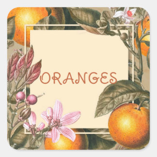 Vintage Flowers and Oranges Square Sticker