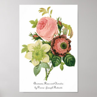 Vintage Flowers, Anemone Roses Clematis by Redoute Poster