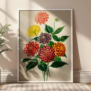 Vintage Flowers Bouquet Botanical Illustration Poster