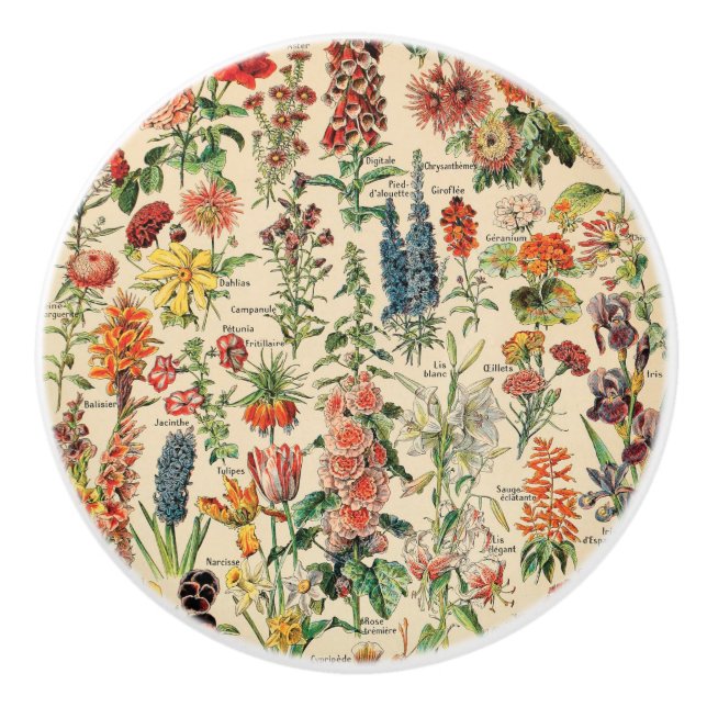Vintage Flowers by Adolphe Millot Ceramic Knob (Front)