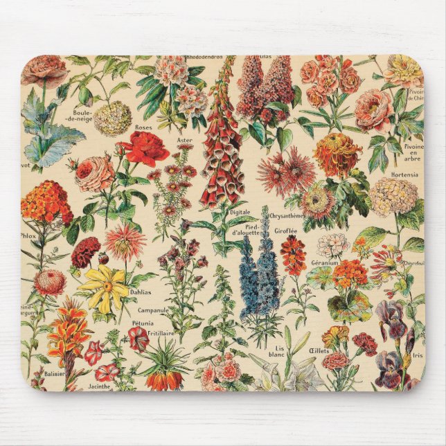 Vintage Flowers by Adolphe Millot Mouse Pad (Front)