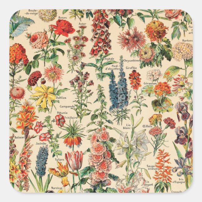 Vintage Flowers by Adolphe Millot Square Sticker (Front)