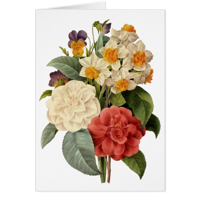 Vintage Flowers, Camellias and Narcissus, Redoute (Front)