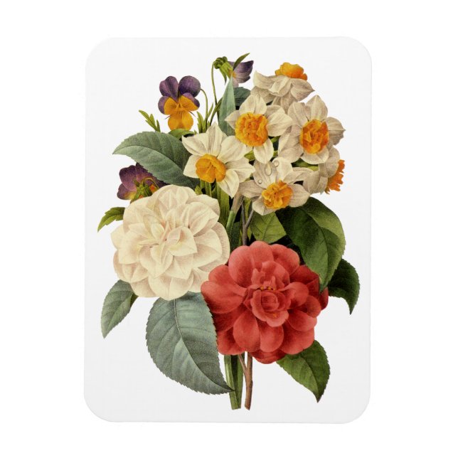 Vintage Flowers, Camellias and Narcissus, Redoute Magnet (Vertical)