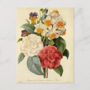 Vintage Flowers, Camellias and Narcissus, Redoute Postcard